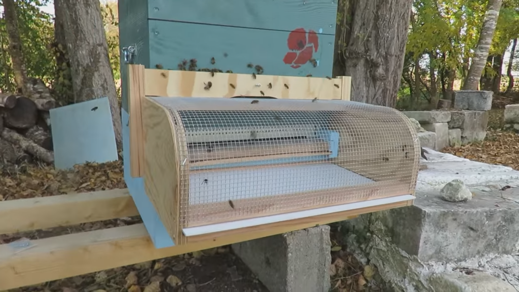 Hornet screen installed to the beehive entrance